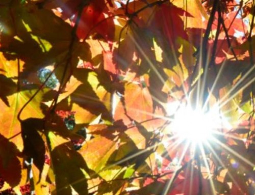 Thomson Reuters publishes “Quantifying the Transformation”