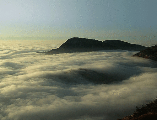 Approaching Peak Proprietary